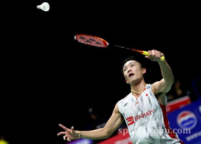 职业生涯的 职业生涯的